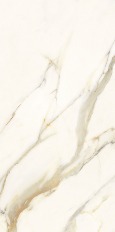 Time Dorado Matte 12 x 24